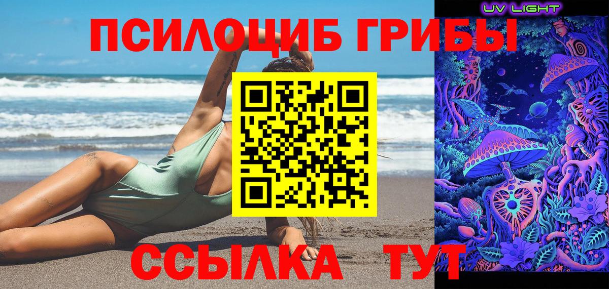 Галлюциногенные грибы Psilocybe Ковров